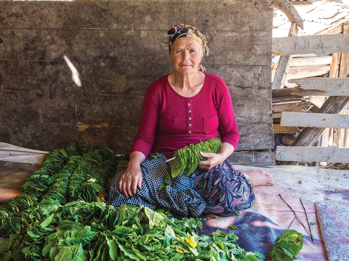 Nefise Yildirim; Canik Mountains, Turkey